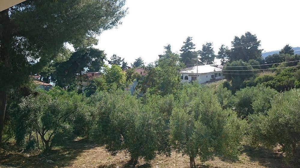 Artemis Plaza Aparthotel Agia Paraskevi  Exterior photo